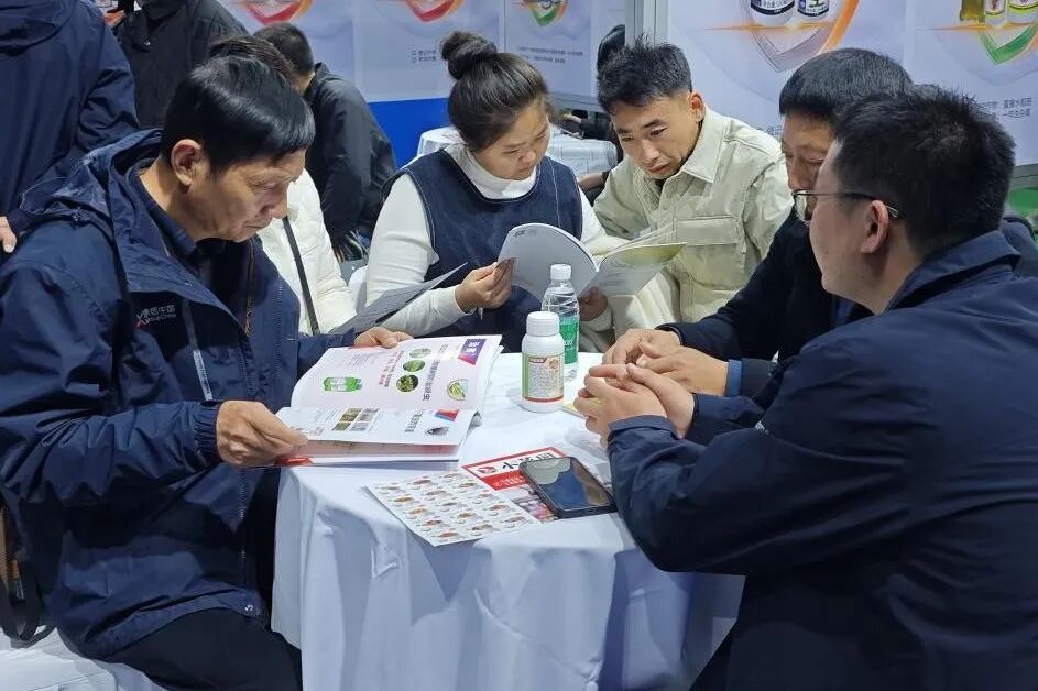 1764150793689378.jpg 6.jpg