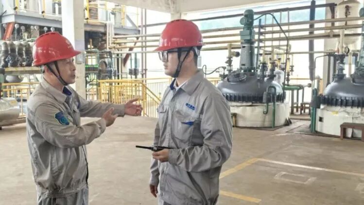 1765186690338233.jpg 4.jpg